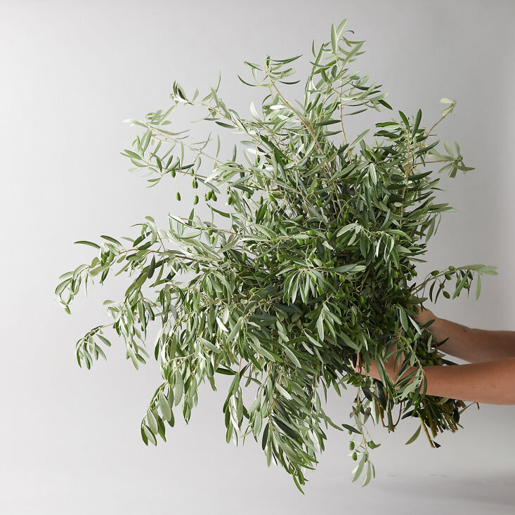 a fresh olive branch bunch is \$68 from terrain. 23