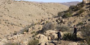 Lire la suite à propos de l’article Pioneertown Mountains Preserve Est le Secret le mieux gardé du désert Californien