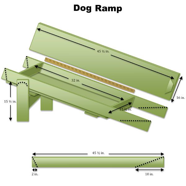 You are currently viewing Comment construire une rampe pour chien
